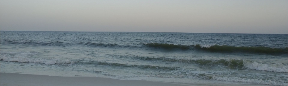User banner image